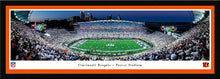 Cincinnati Bengals 50 Yard Line Paycor Stadium Panoramic Picture