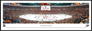 Anaheim Ducks Honda Center Panoramic Picture