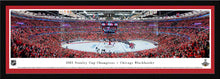 Chicago Blackhawks 2015 Stanley Cup Champions Panoramic Picture