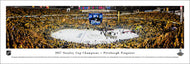 Pittsburgh Penguins 2017 Stanley Cup Champions Panoramic Picture