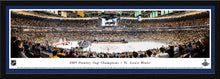 St. Louis Blues 2019 Stanley Cup Champions Panoramic Picture