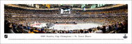 St. Louis Blues 2019 Stanley Cup Champions Panoramic Picture