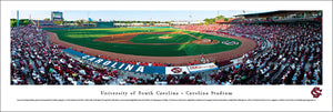 South Carolina Gamecocks Baseball Carolina Stadium Panoramic Picture