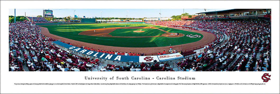South Carolina Gamecocks Baseball Carolina Stadium Panoramic Picture