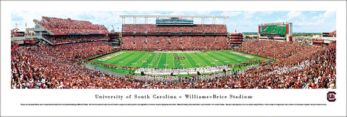 South Carolina Gamecocks William Brice Stadium 50 Yard Line Panoramic Picture