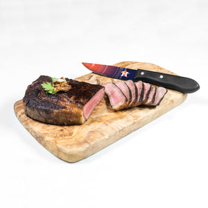Houston Astros Steak Knives