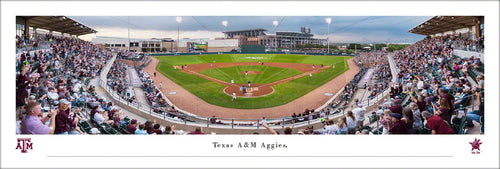 Texas A&M Aggies Baseball Olsen Field at Blue Bell Park Panoramic Picture