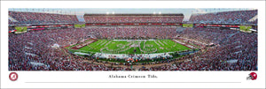 Alabama Crimson Tide Bryant Denny Marching Band Panoramic Picture
