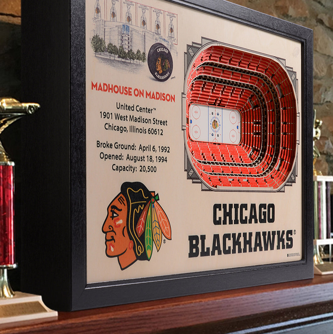 Chicago Blackhawks 25 Layer StadiumViews 3D Wall Art