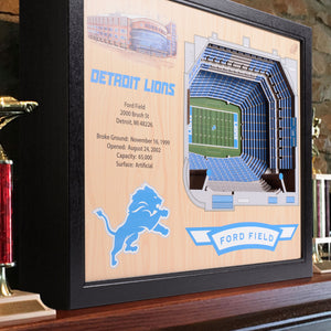 Detroit Lions Ford Field 3D Stadiumview Wall Art