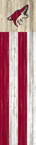 Arizona Coyotes Flag Door Leaner  12"x48"