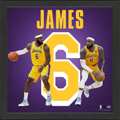 LeBron James Los Angeles Lakers Impact Jersey Framed Photo