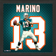 Dan Marino Miami Dolphins Jersey Impact Frame