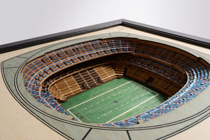 Pittsburgh Steelers 3D Stadium View Wall Art