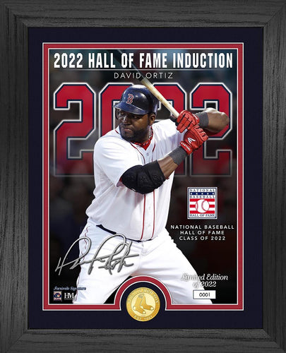 David Ortiz Boston Red Sox Hall Of Fame Induction Bronze Coin Photo Mint
