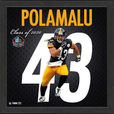 Troy Polamalu Pittsburgh Steelers Impact Jersey Framed Photo