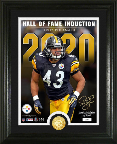 Troy Polamalu Pittsburgh Steelers Signature Series Bronze Coin Photo Mint