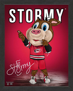 Carolina Hurricanes Stormy Framed Dynamo