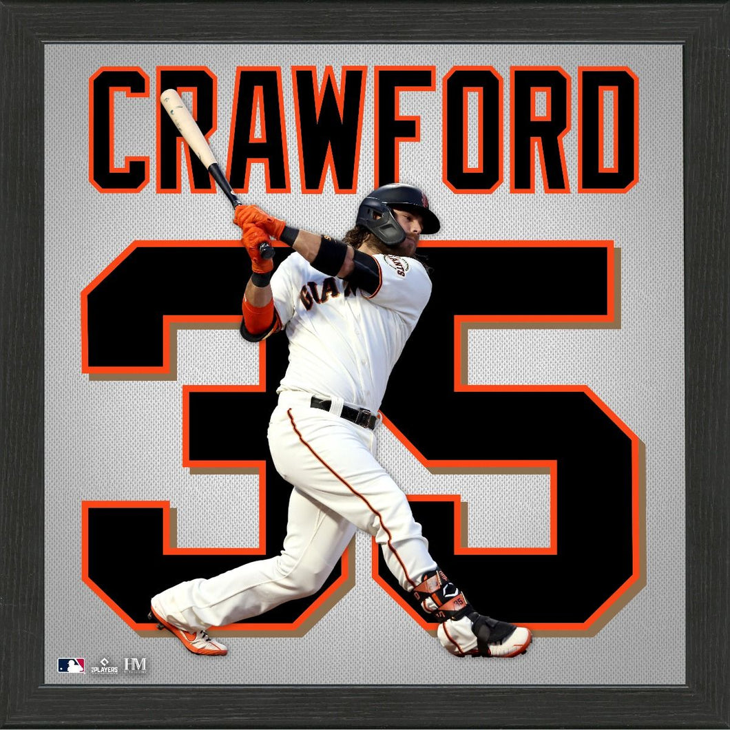 Brandon Crawford San Francisco Giants Impact Jersey Framed Photo