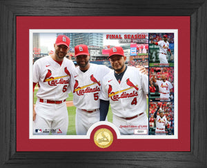 MLB - St. Louis Cardinals 8'x10' Rug