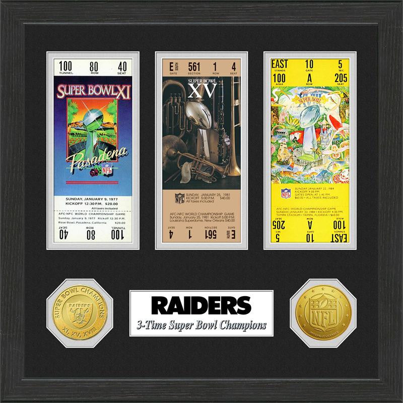 Packers Super Bowl Ticket and Bronze Coin Frame